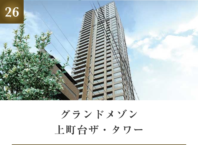 グランドメゾン上町台ザ・タワー