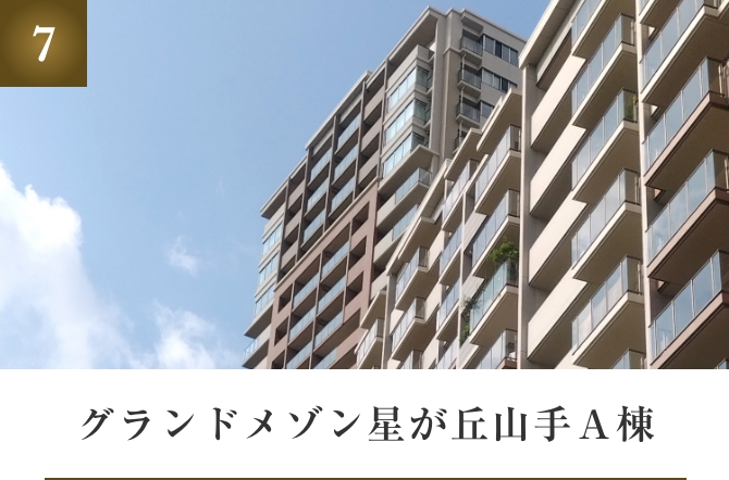 グランドメゾン星が丘山手A棟