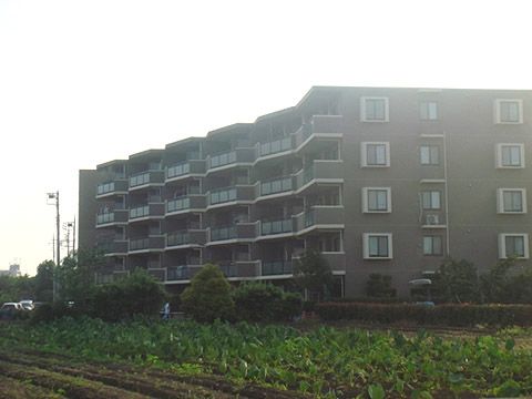 ハイホーム立川参番館 + ハイホーム立川参番館その他画像1