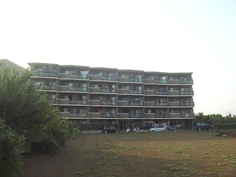 ハイホーム立川参番館 + ハイホーム立川参番館その他画像2
